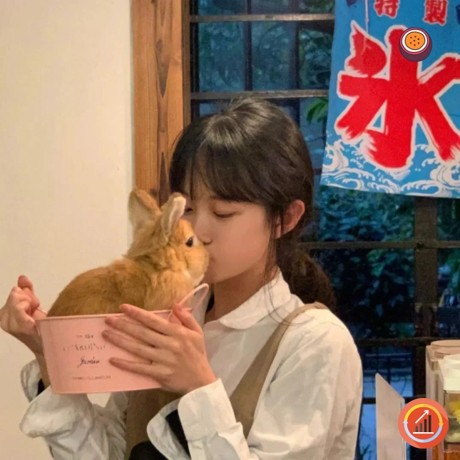 沈先生
